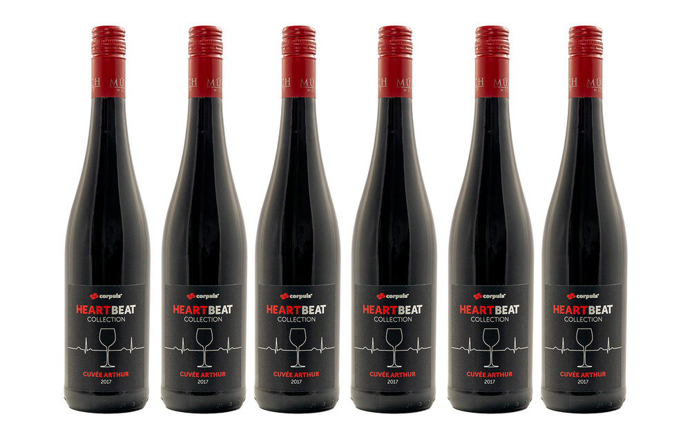 6er Set - 6 Flaschen<br>inkl. Versandkosten