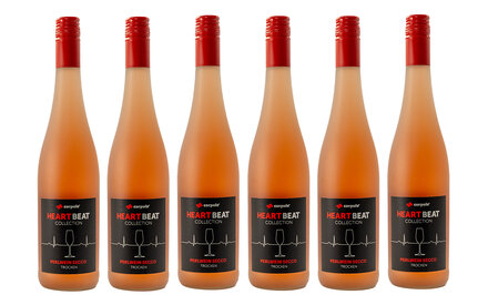 6er Set -6 Flaschen<br>inkl. Versandkosten