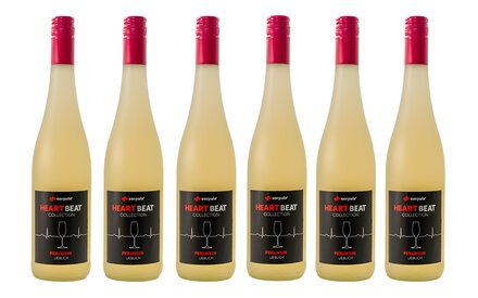 6er Set - 6 Flaschen<br>inkl. Versandkosten