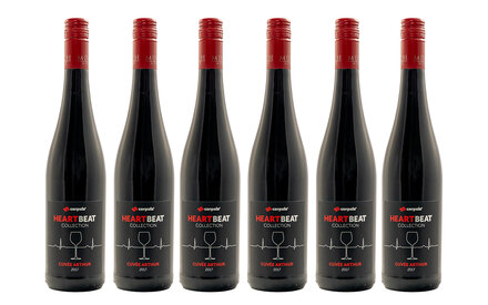 6er Set - 6 Flaschen<br>inkl. Versandkosten