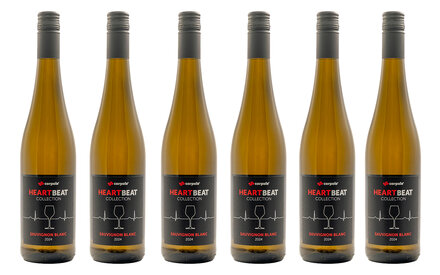 6er Set - 6 Flaschen<br>inkl. Versandkosten